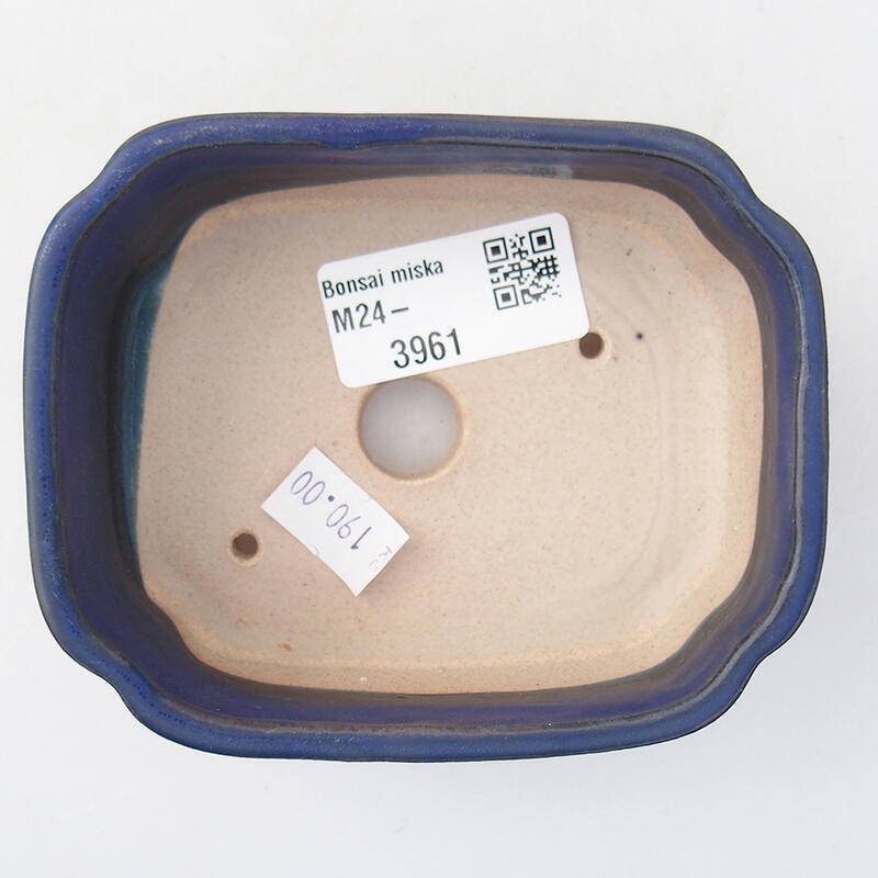 Cuenco bonsái de cerámica 10 x 5,5 x 4 cm, color azul