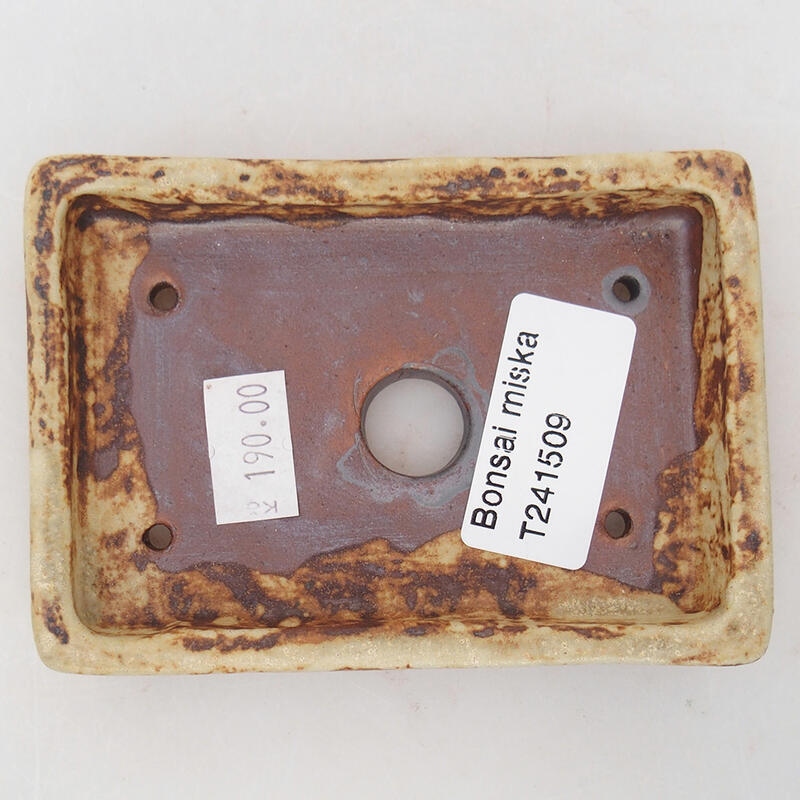 Cuenco bonsái de cerámica 10 x 7 x 2 cm, color beige