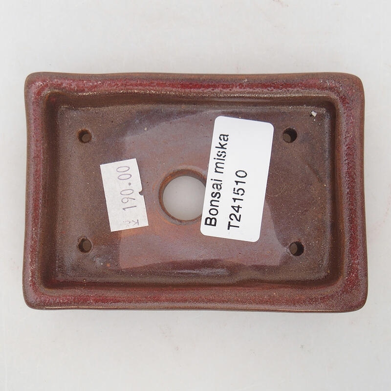 Cuenco bonsái de cerámica 10 x 7 x 2 cm, marrón