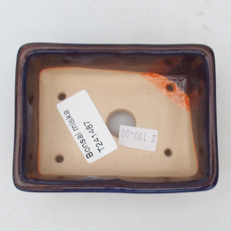 Cuenco bonsái de cerámica 10 x 7 x 3,5 cm, color morado