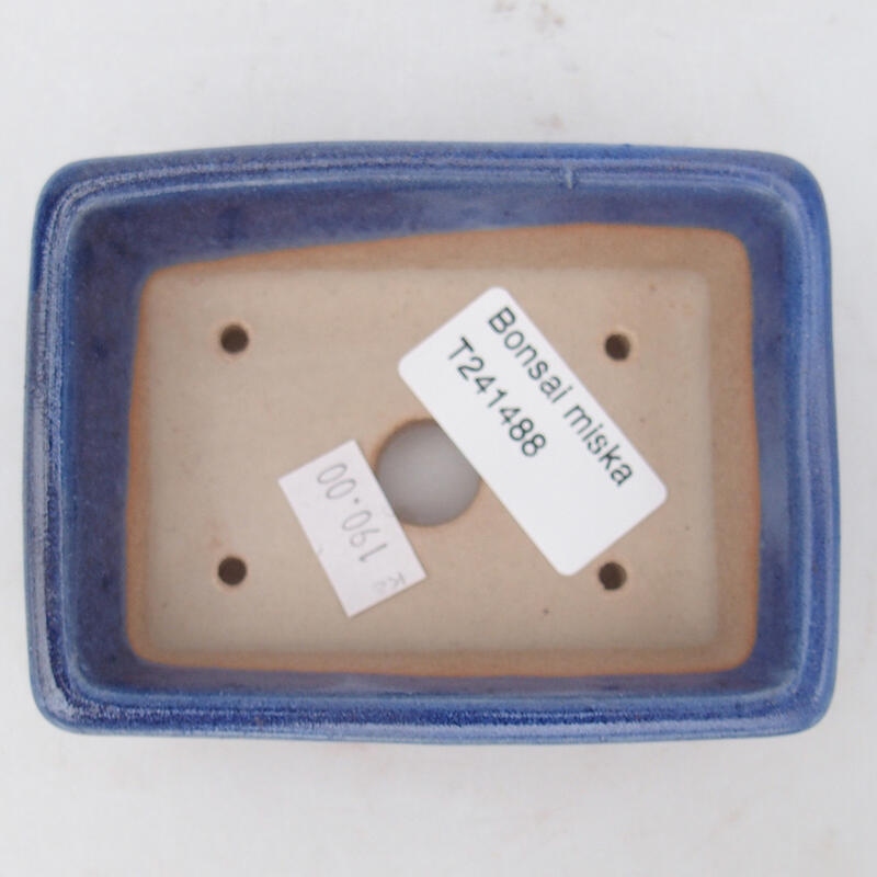 Cuenco bonsái de cerámica 10 x 7 x 3,5 cm, color azul