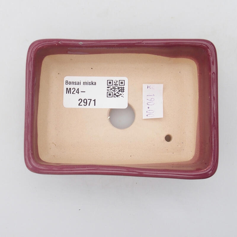 Cuenco bonsái de cerámica 10 x 7 x 3 cm, rosa