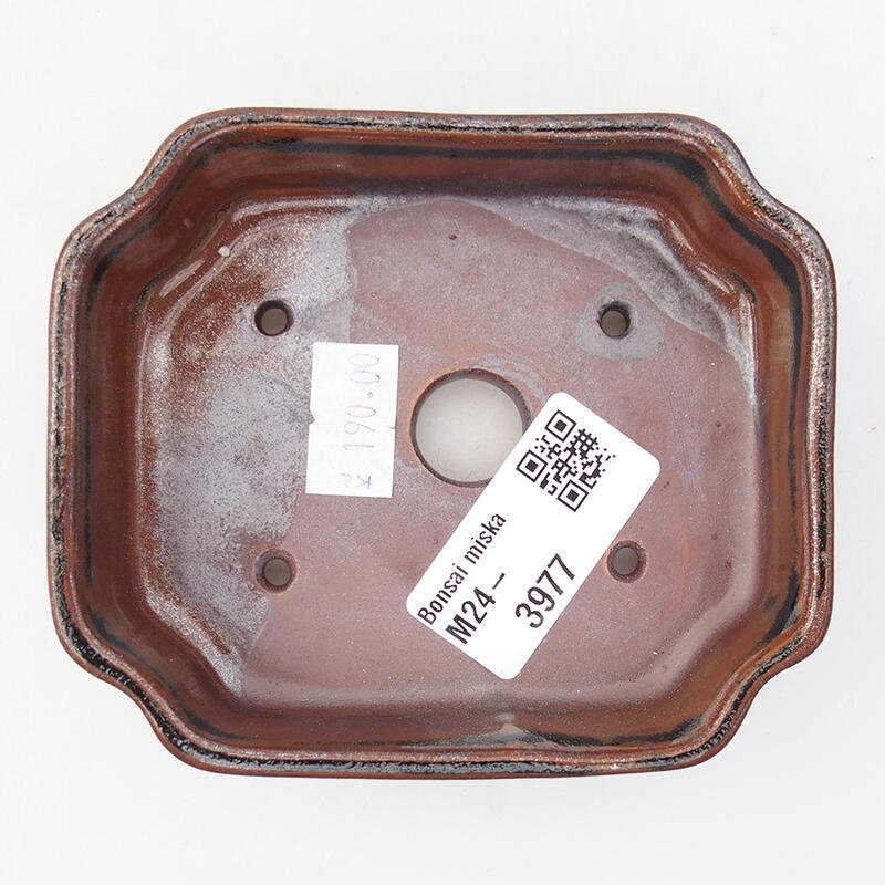 Cuenco bonsái de cerámica 10 x 8,5 x 2,5 cm, marrón