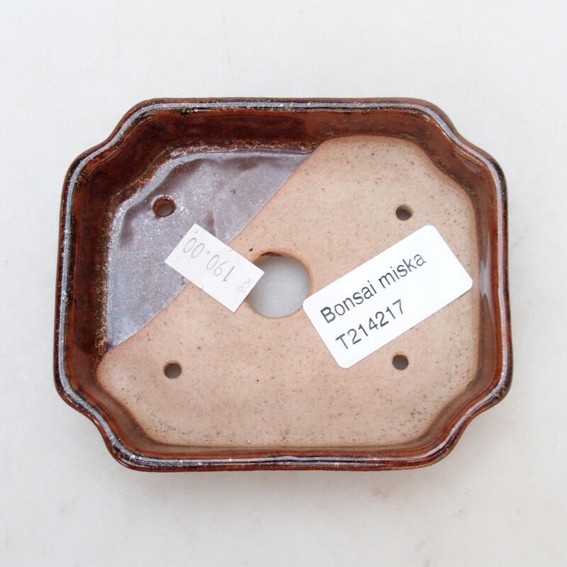 Cuenco bonsái de cerámica 10 x 8,5 x 2 cm, marrón