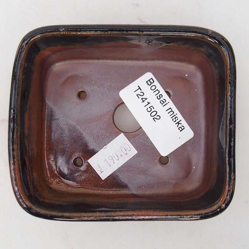 Cuenco bonsái de cerámica 10 x 8,5 x 3,5 cm, negro