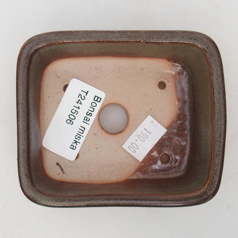 Cuenco bonsái de cerámica 10 x 8,5 x 3,5 cm, gris