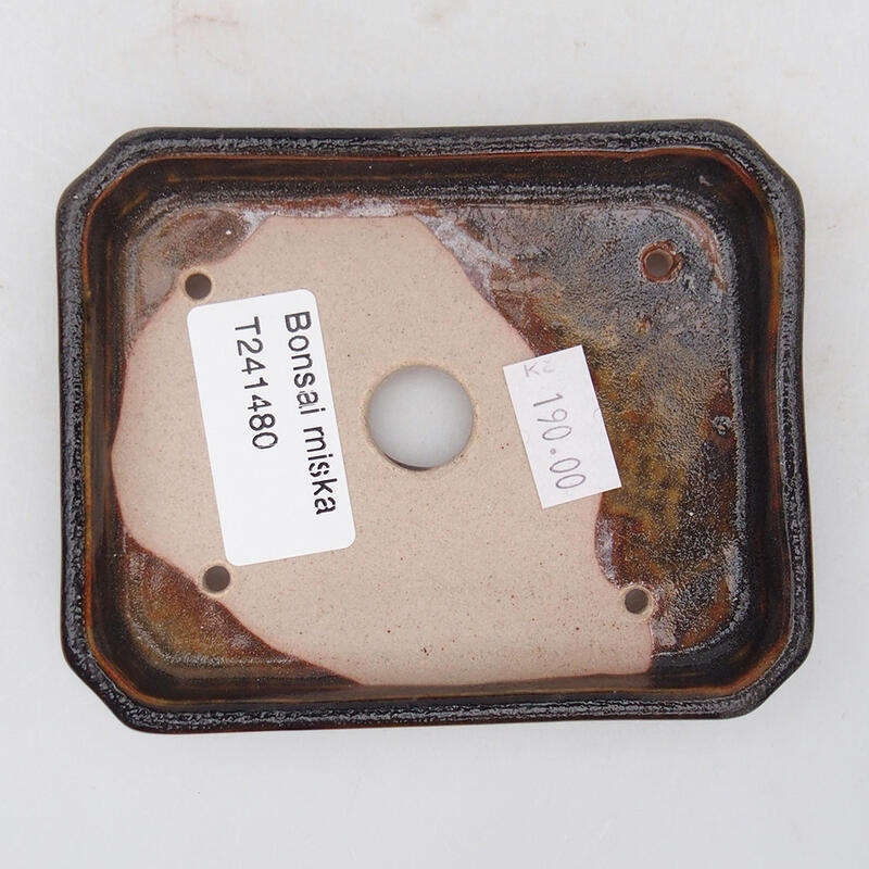 Cuenco bonsái de cerámica 10 x 8 x 2 cm, negro-marrón