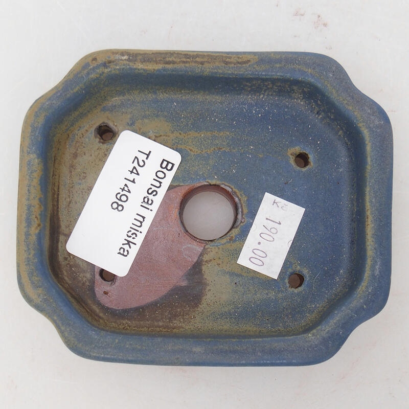 Cuenco bonsái de cerámica 10 x 8 x 2 cm, color azul