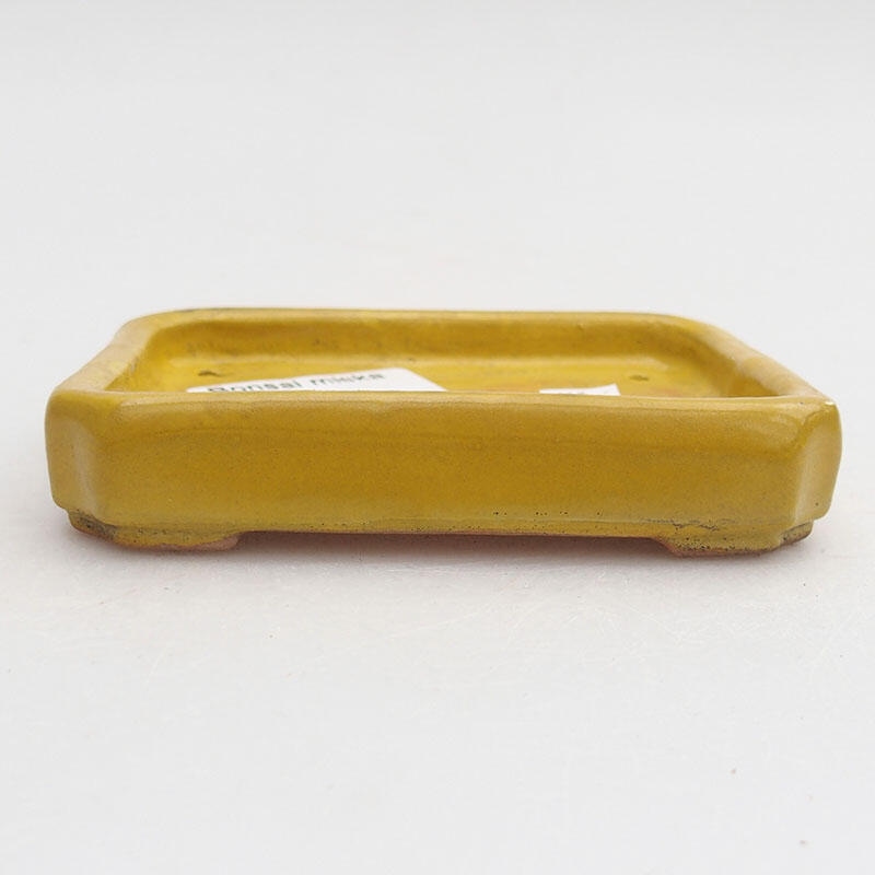 Cuenco bonsái de cerámica 10 x 8 x 2 cm, amarillo
