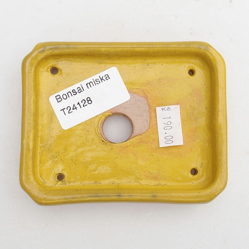 Cuenco bonsái de cerámica 10 x 8 x 2 cm, amarillo