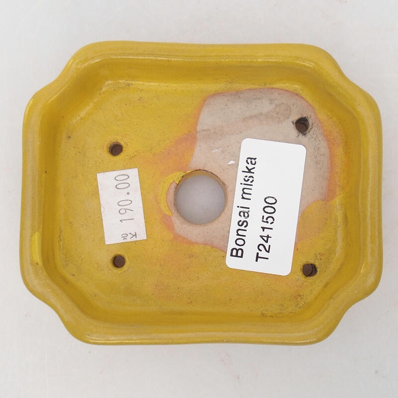 Cuenco bonsái de cerámica 10 x 8 x 2 cm, amarillo