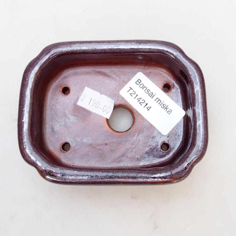 Cuenco bonsái de cerámica 10 x 8 x 3,5 cm, marrón