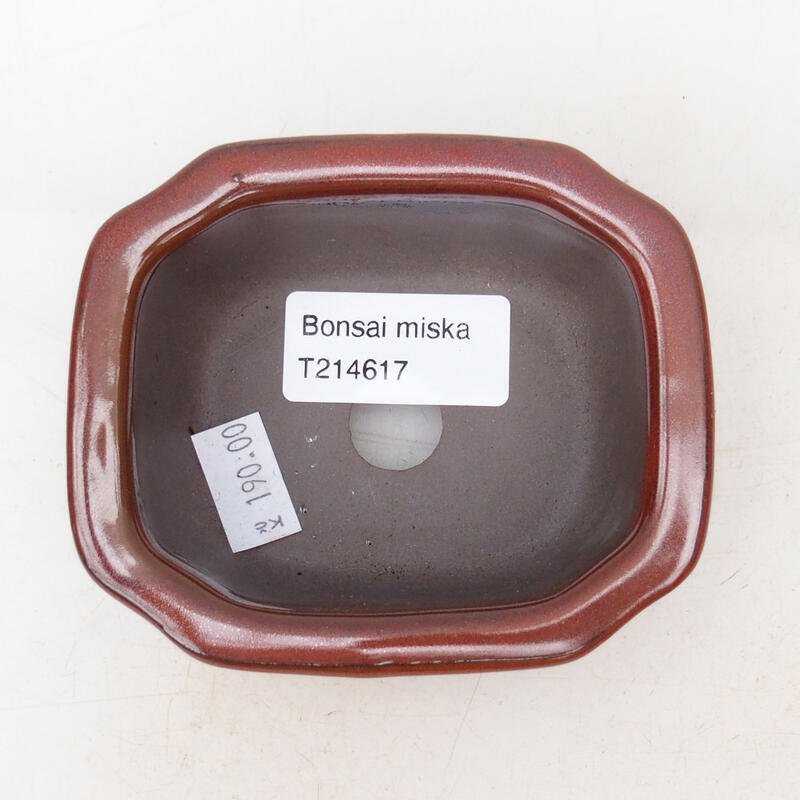 Cuenco bonsái de cerámica 10 x 8 x 4 cm, marrón