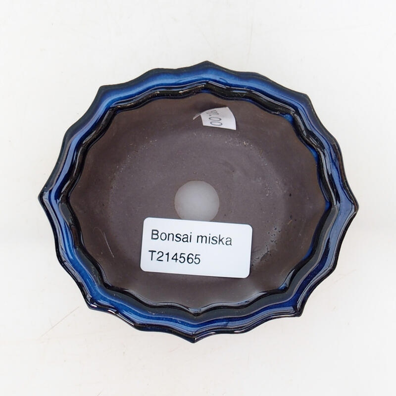 Cuenco bonsái de cerámica 10 x 9 x 4,5 cm, color azul
