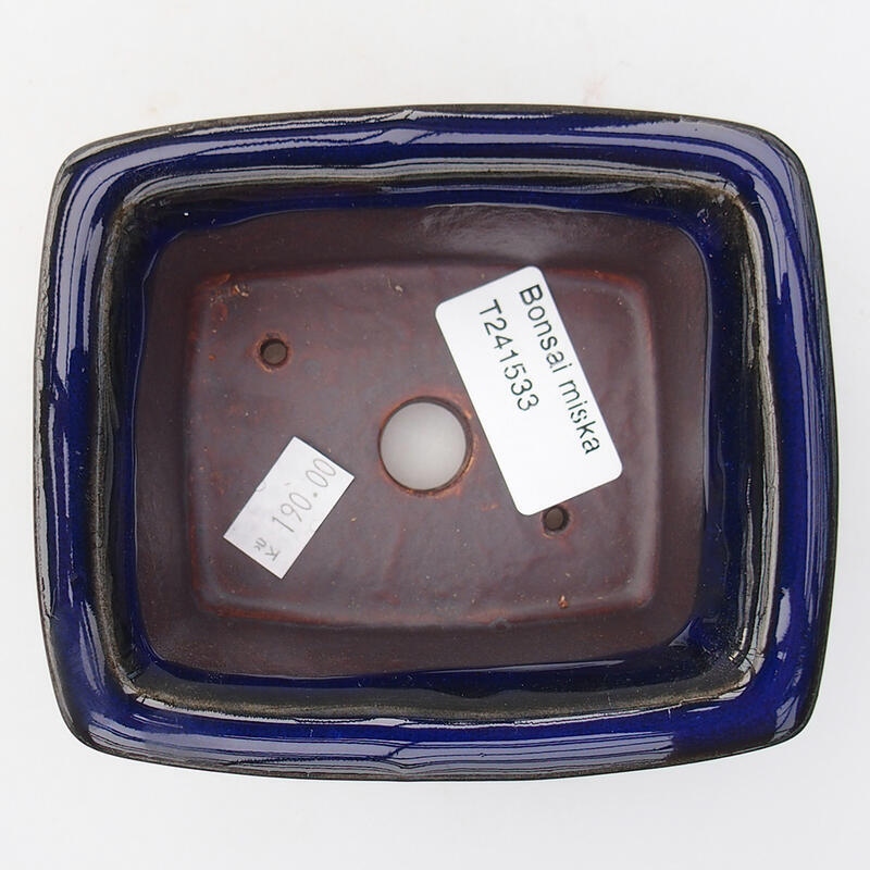 Cuenco bonsái de cerámica 11,5 x 10 x 4,5 cm, color azul