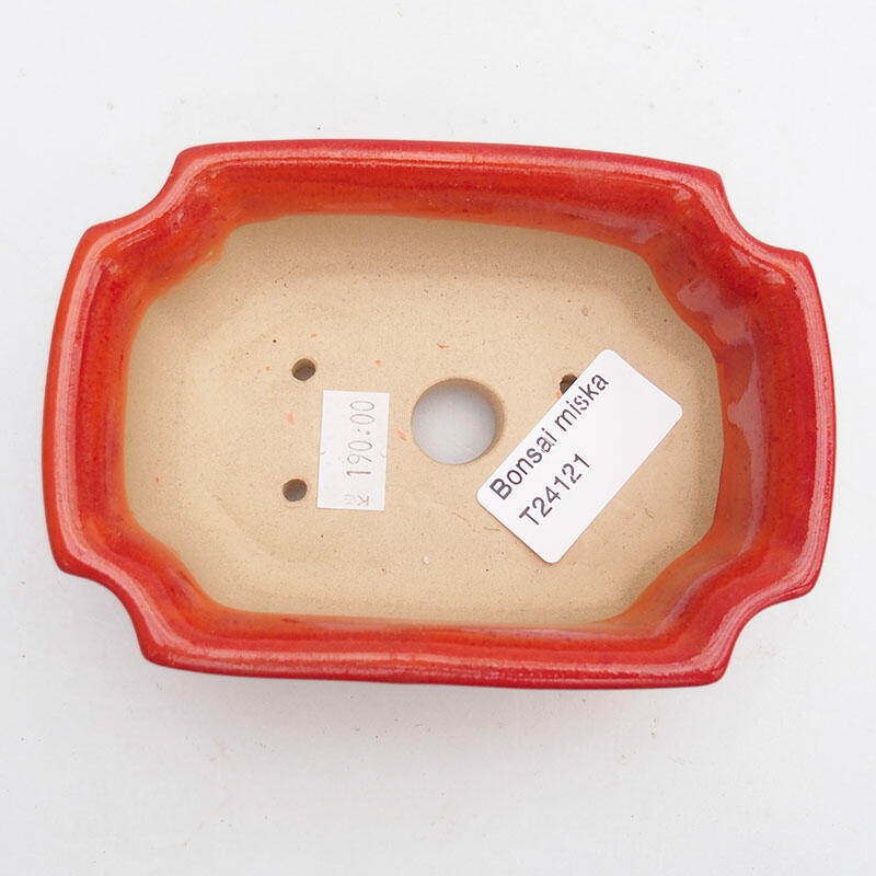 Cuenco bonsái de cerámica 11,5 x 8,5 x 4 cm, color rojo-naranja
