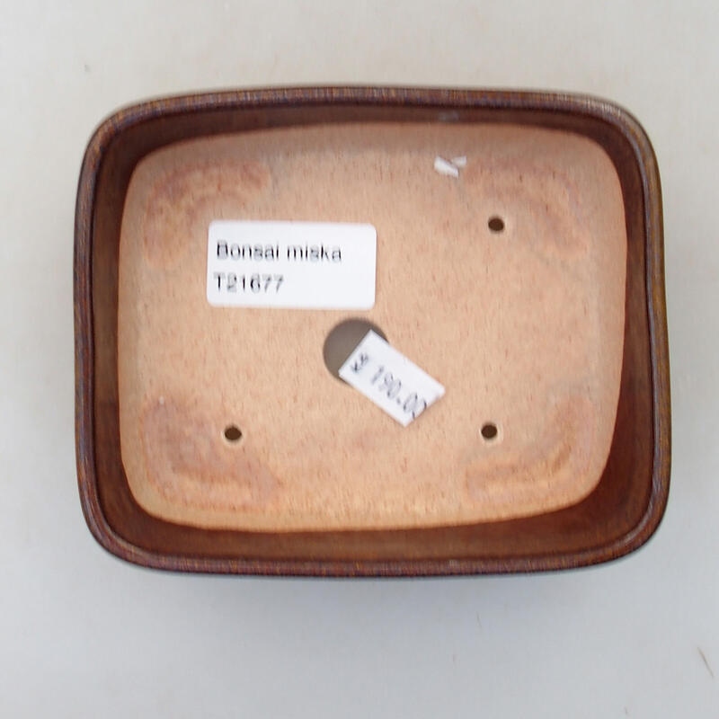 Cuenco bonsái de cerámica 11,5 x 9,5 x 3,5 cm, marrón