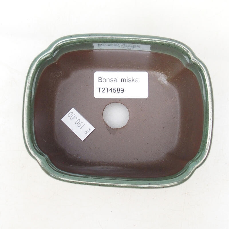Cuenco bonsái de cerámica 11,5 x 9 x 5,5 cm, verde