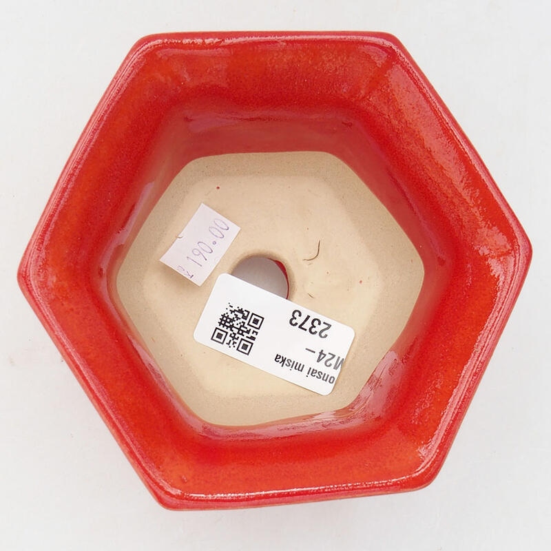 Cuenco bonsái de cerámica 11 x 10 x 5,5 cm, color rojo