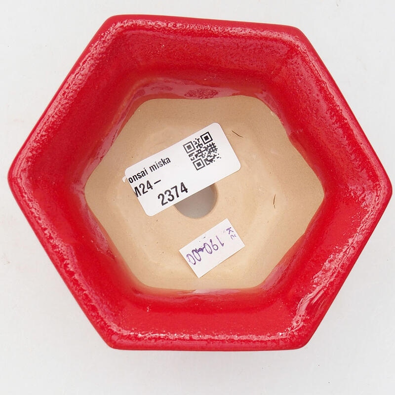Cuenco bonsái de cerámica 11 x 10 x 5,5 cm, color rojo