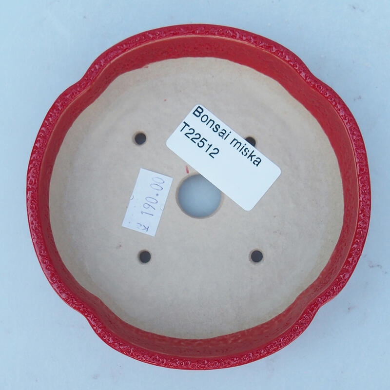 Cuenco bonsái de cerámica 11 x 11 x 2,5 cm, color rojo
