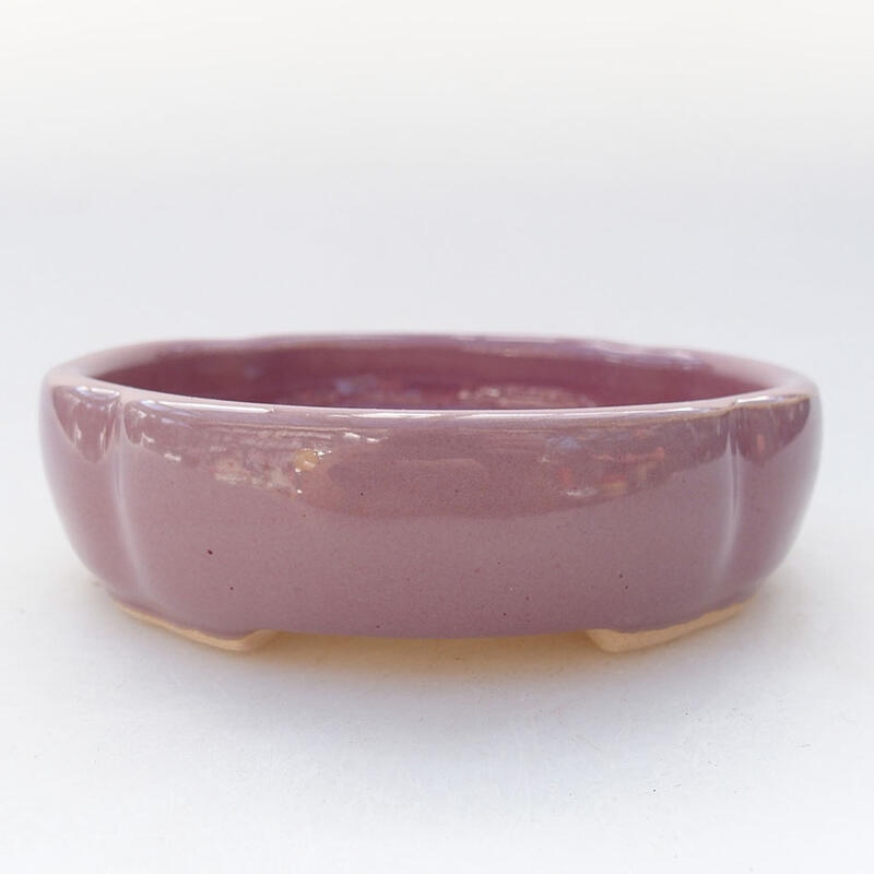 Cuenco bonsái de cerámica 11 x 11 x 3 cm, color morado