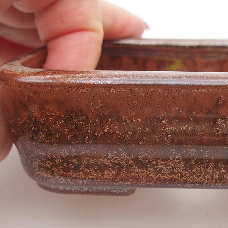 Cuenco bonsái de cerámica 11 x 8 x 3 cm, marrón