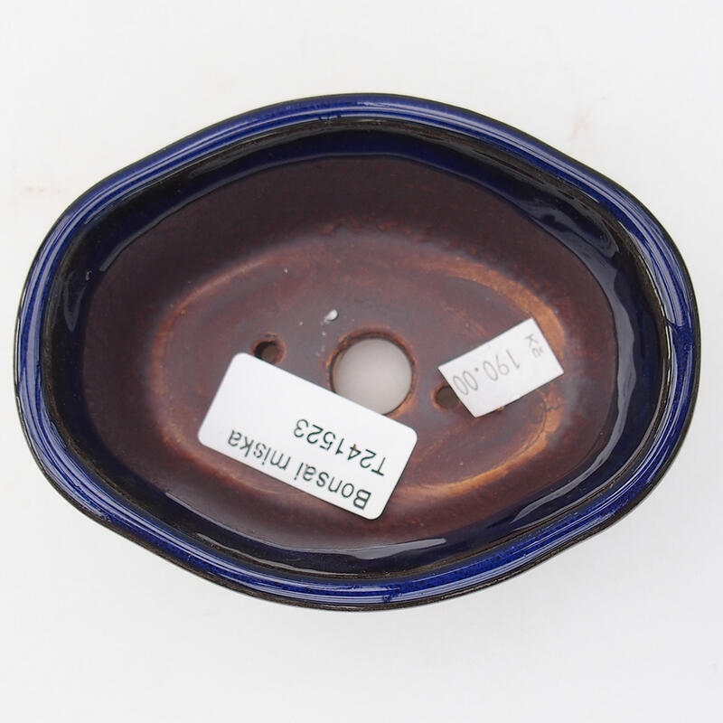 Cuenco bonsái de cerámica 11 x 8 x 4,5 cm, color azul