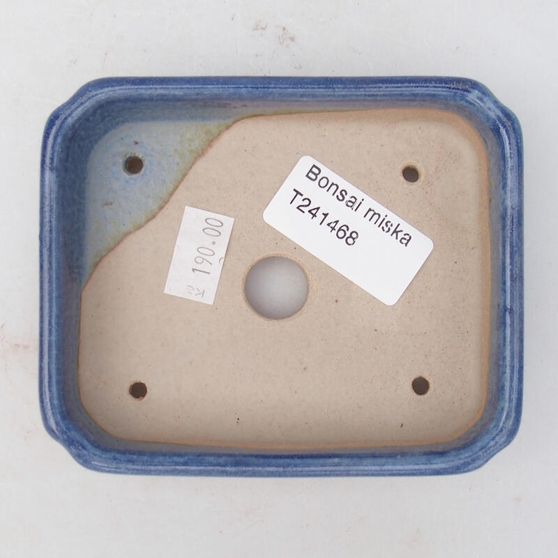 Cuenco bonsái de cerámica 11 x 9,5 x 3 cm, color azul