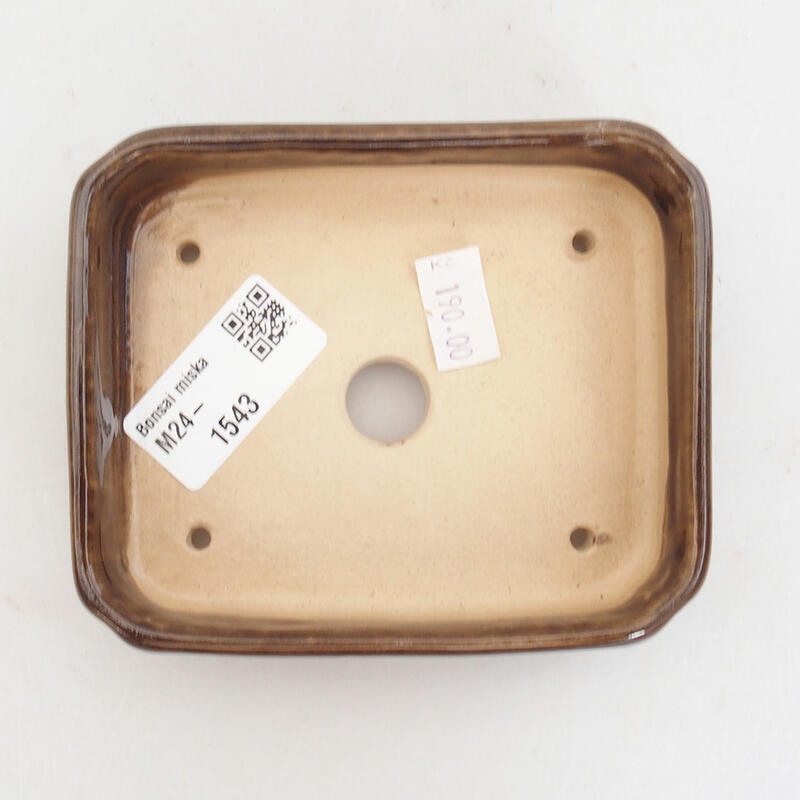 Cuenco bonsái de cerámica 11 x 9 x 3,5 cm, marrón