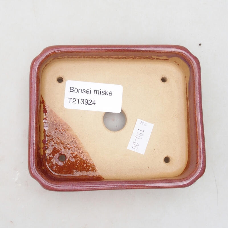 Cuenco bonsái de cerámica 11 x 9 x 3 cm, rosa