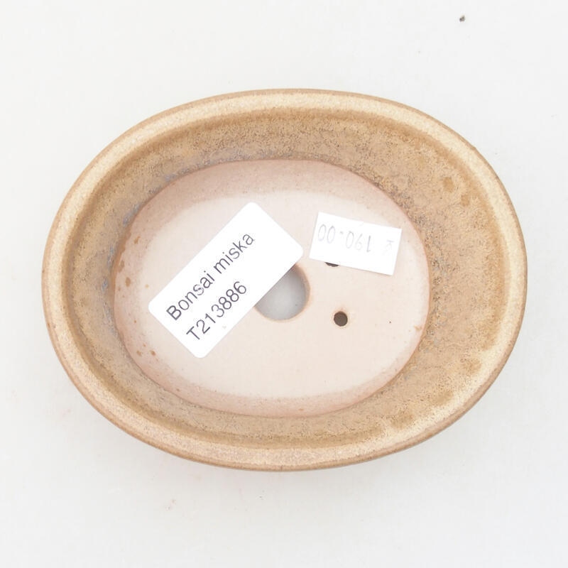 Cuenco bonsái de cerámica 11 x 9 x 4 cm, color beige