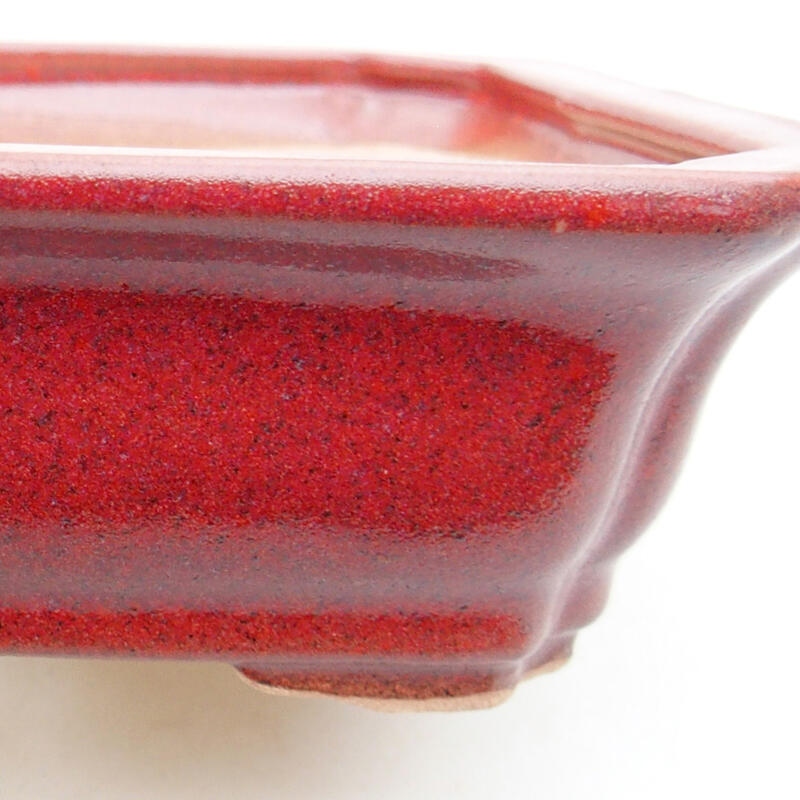 Cuenco bonsái de cerámica 12,5 x 10 x 4 cm, color burdeos