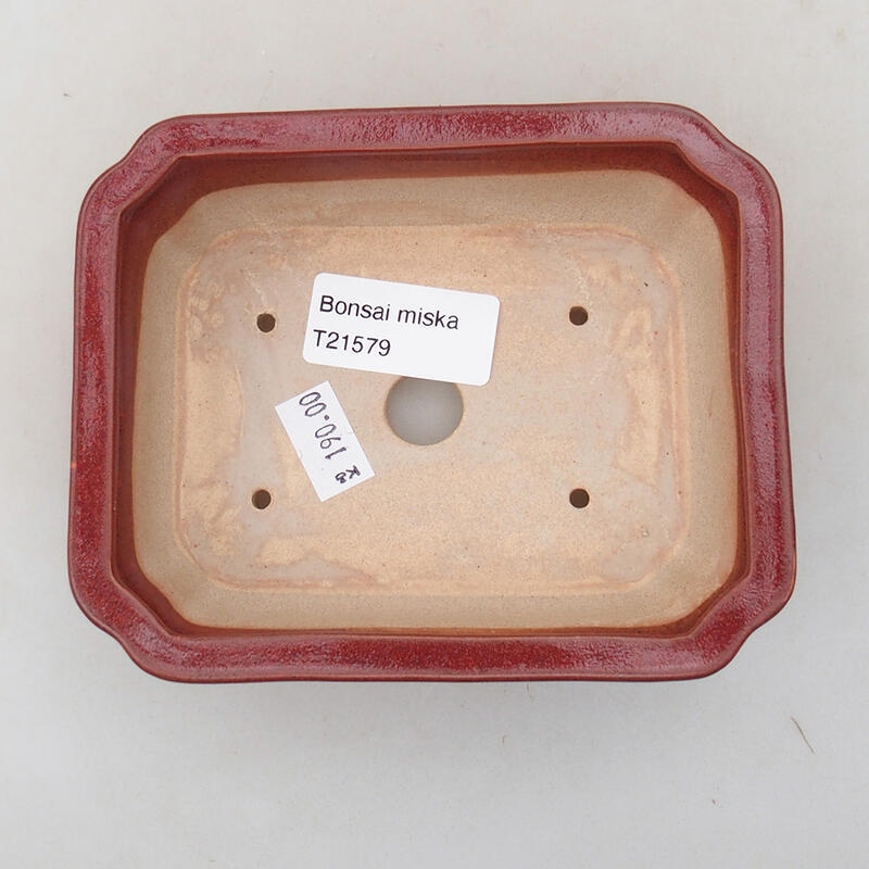 Cuenco bonsái de cerámica 12,5 x 10 x 4 cm, color burdeos