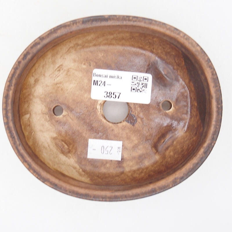 Cuenco bonsái de cerámica 12,5 x 10 x 4 cm, marrón