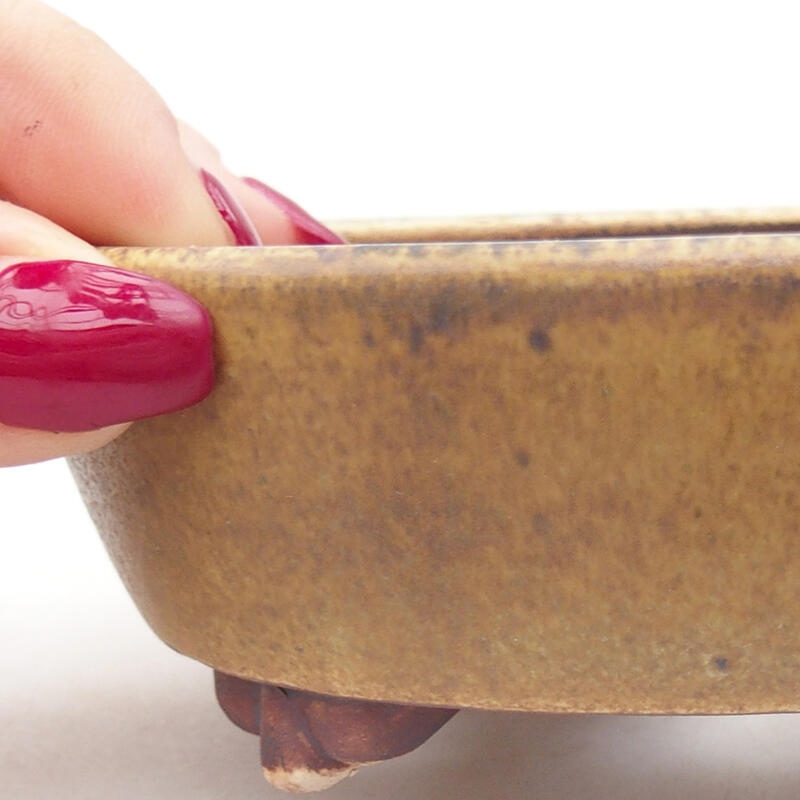 Cuenco bonsái de cerámica 12,5 x 10 x 4 cm, verde