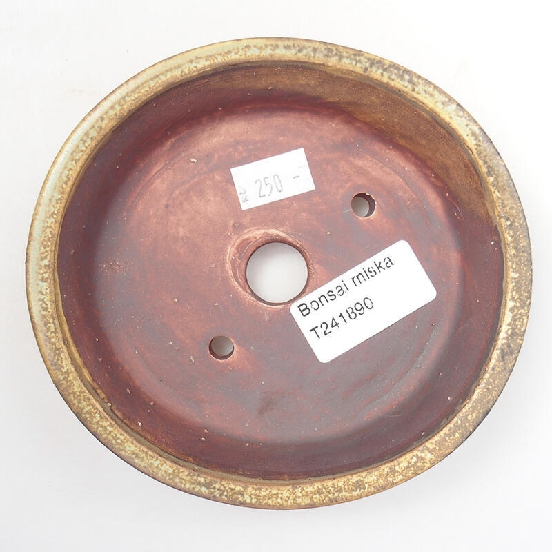 Cuenco bonsái de cerámica 12,5 x 12 x 3,5 cm, marrón