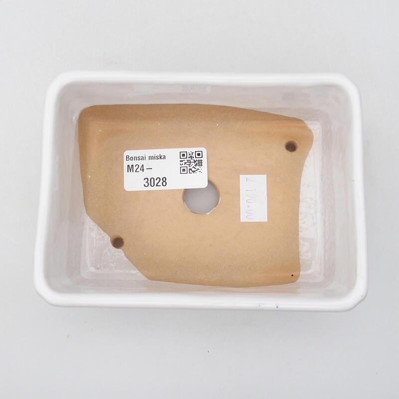 Cuenco bonsái de cerámica 12,5 x 9,5 x 4,5 cm, color blanco