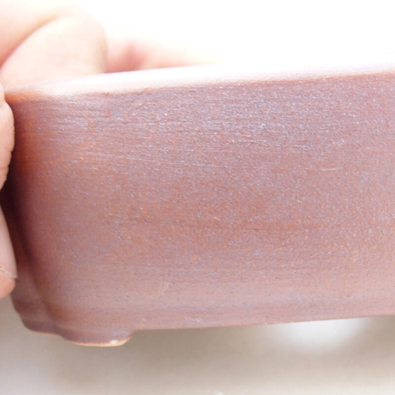 Cuenco bonsái de cerámica 12,5 x 9,5 x 4,5 cm, marrón