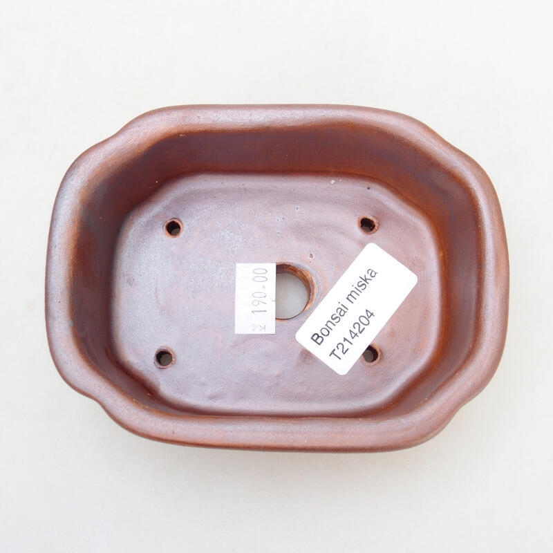 Cuenco bonsái de cerámica 12,5 x 9,5 x 4,5 cm, marrón