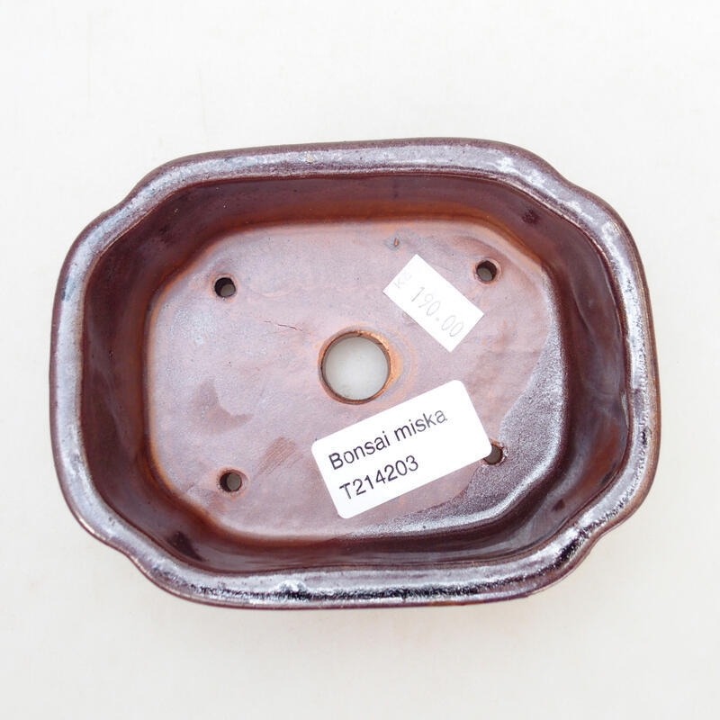 Cuenco bonsái de cerámica 12,5 x 9,5 x 4,5 cm, color marrón-negro