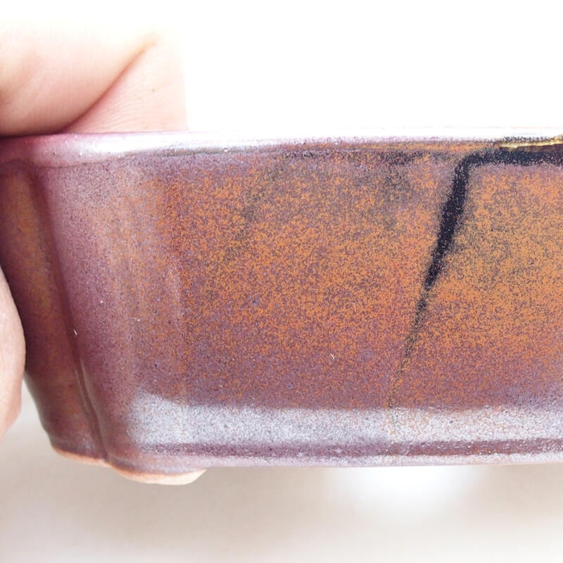 Cuenco bonsái de cerámica 12,5 x 9,5 x 4,5 cm, color marrón-negro