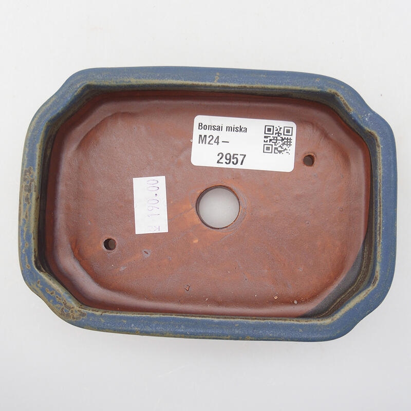Cuenco bonsái de cerámica 12,5 x 9 x 2,5 cm, color azul