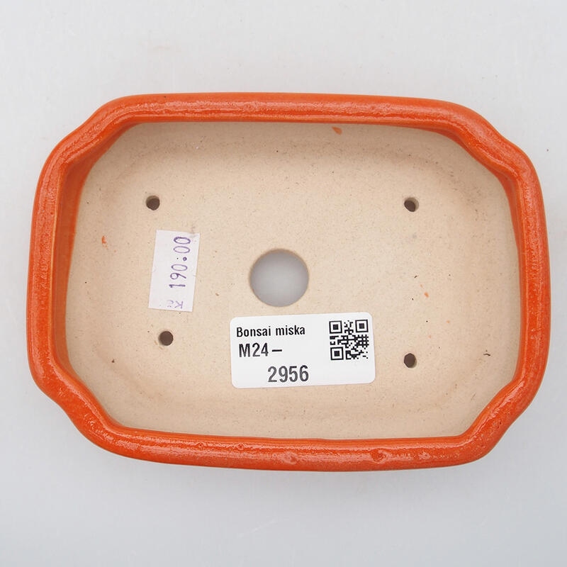 Cuenco bonsái de cerámica 12,5 x 9 x 2,5 cm, naranja