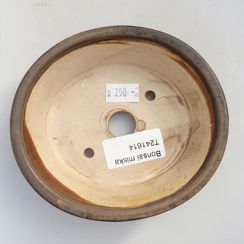 Cuenco bonsái de cerámica 12 x 10,5 x 3,5 cm, marrón