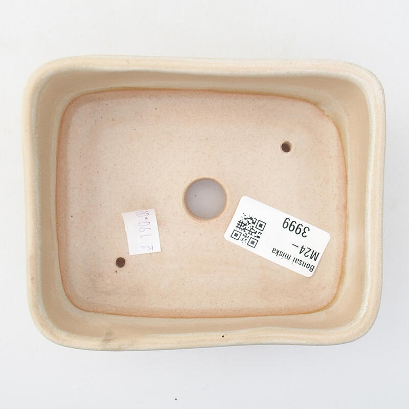 Cuenco bonsái de cerámica 12 x 10 x 4 cm, color beige