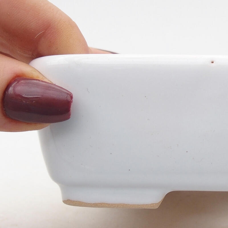 Cuenco bonsái de cerámica 12 x 10 x 4 cm, color blanco