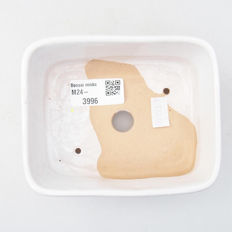 Cuenco bonsái de cerámica 12 x 10 x 4 cm, color blanco