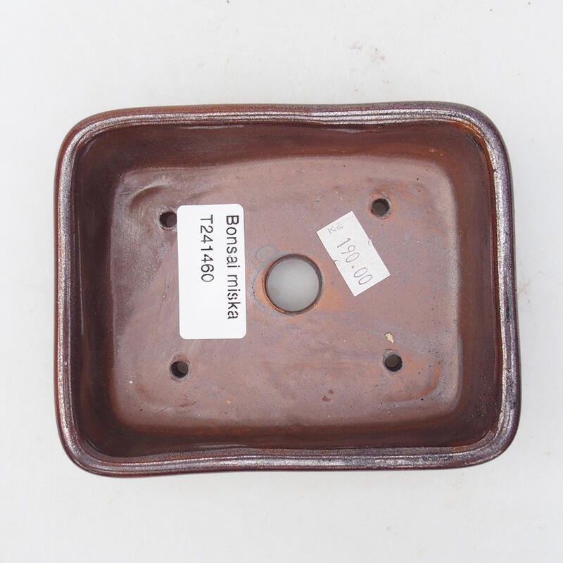 Cuenco bonsái de cerámica 12 x 10 x 4 cm, marrón