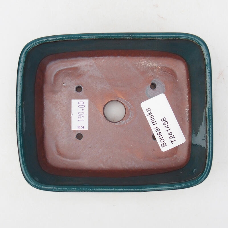 Cuenco bonsái de cerámica 12 x 10 x 4 cm, verde